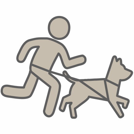 Vodítka pro běh se psem